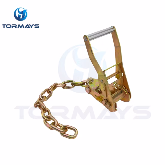 Hand Ratchet Winch, 2.5t Hoist/Winch with Capable Ratchet 2 M Strap Manual Lever Winch for Moving Vehicles Machines (40014001)